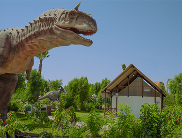 T-REX GLAMPING